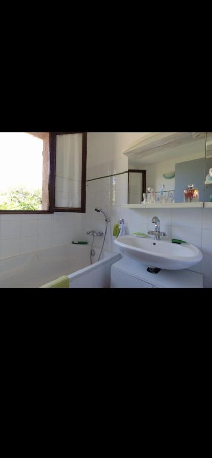 Dans Un Cadre Verdoyant , Piscine Et Jardin Villa
