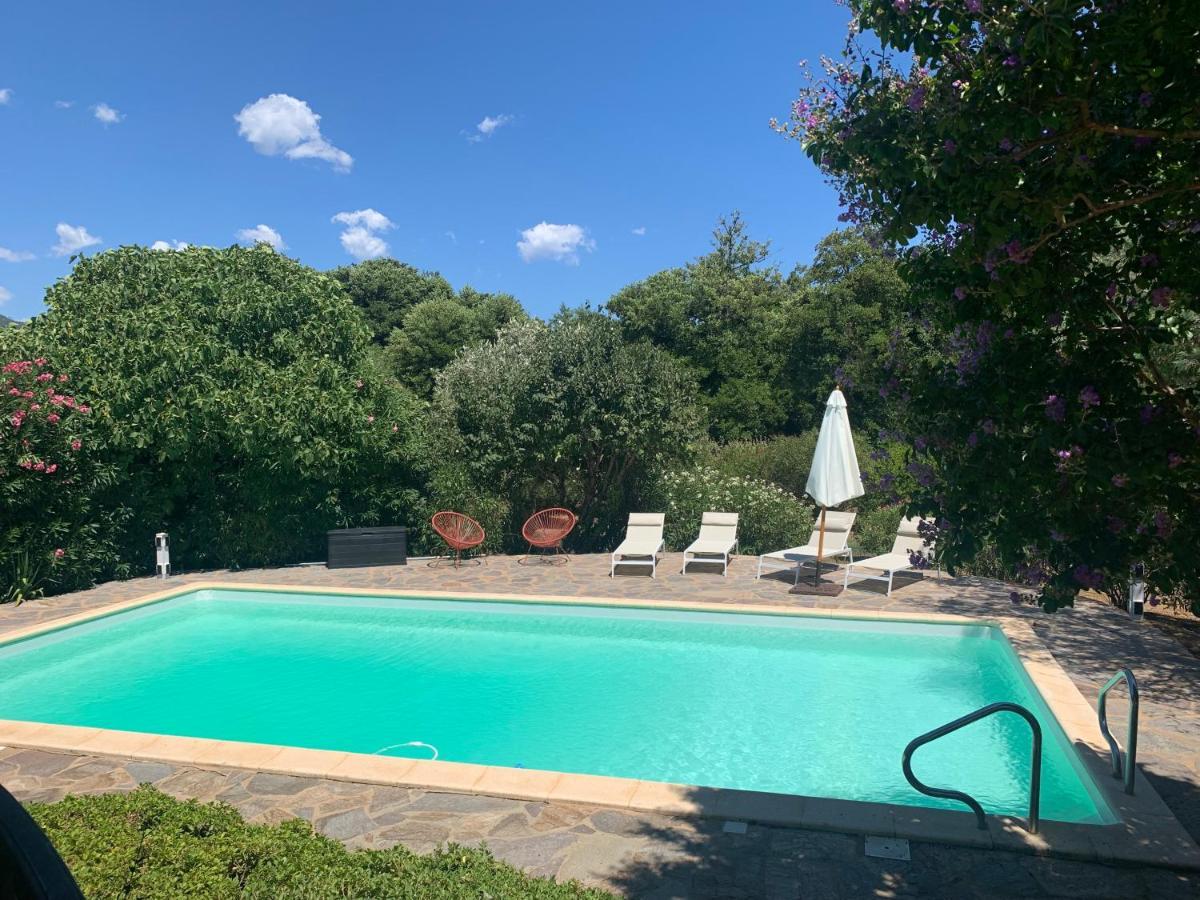 Dans Un Cadre Verdoyant , Piscine Et Jardin *