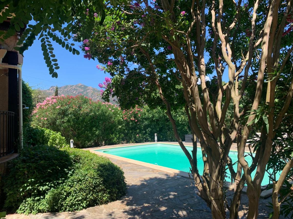Dans Un Cadre Verdoyant , Piscine Et Jardin *